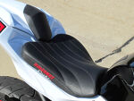 Ninja 300 Holeshot / Corbin Seat